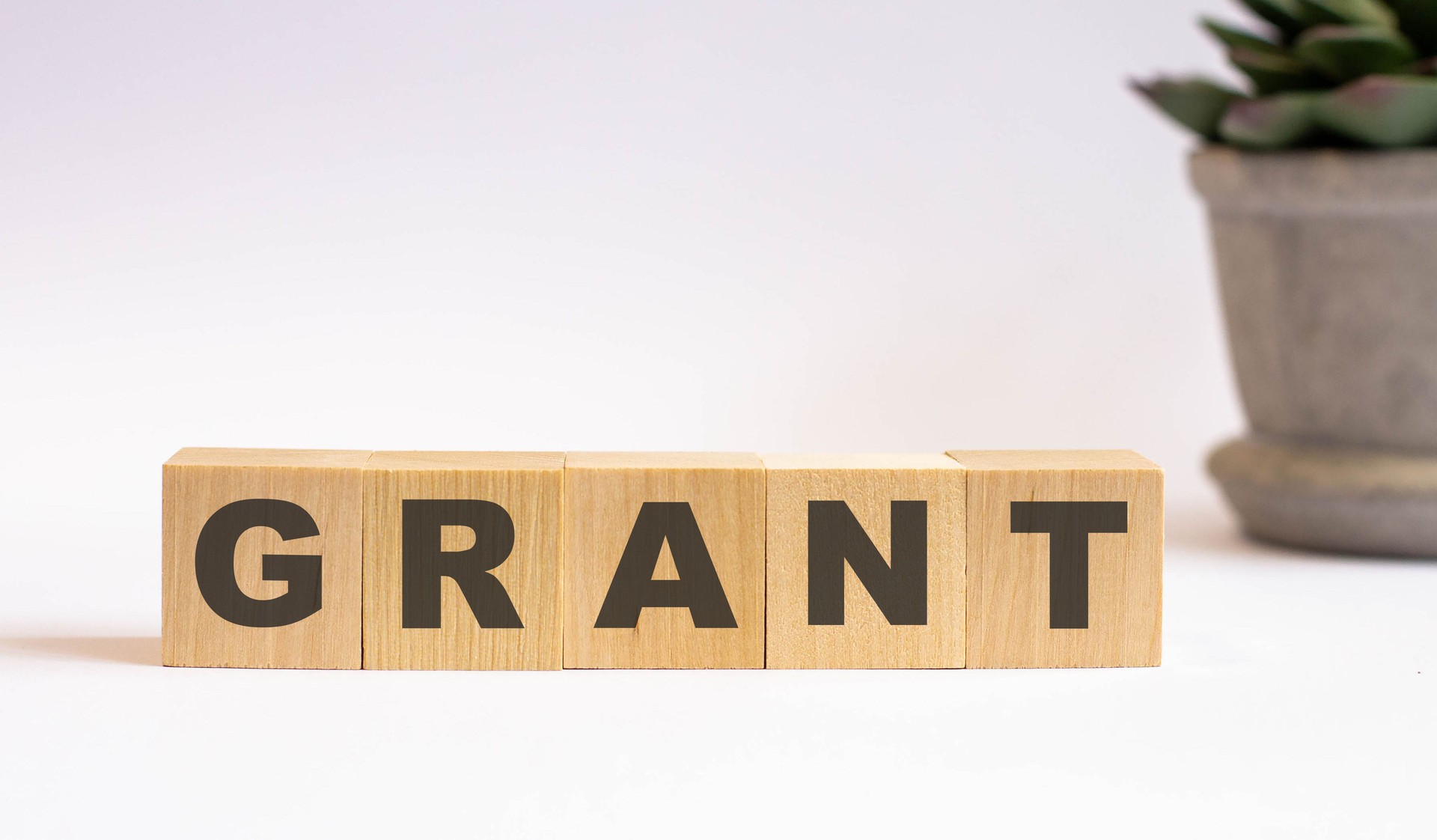 the word of GRANTS on building blocks concept